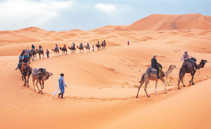 Camel Trekking in Merzouga Desert