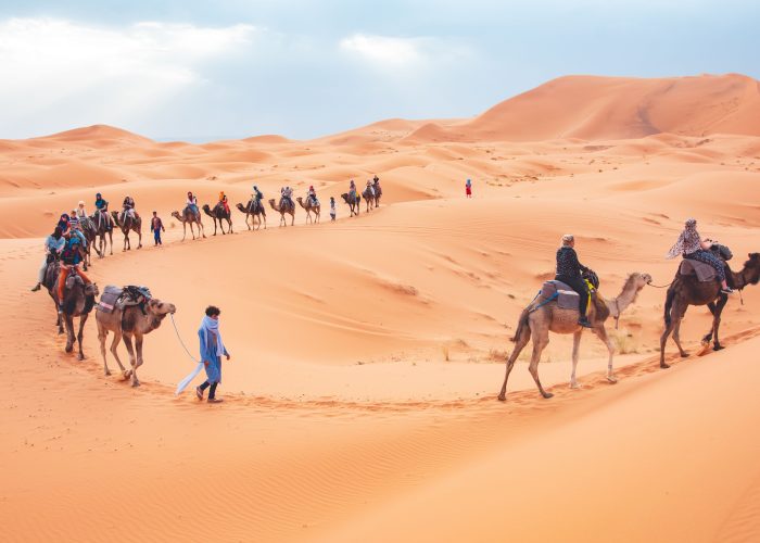 Camel Trekking in Merzouga Desert